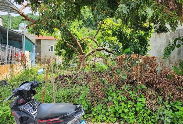 Bán đất tổ4 thị trấn mường 👍 ảng, tỉnh điện biên