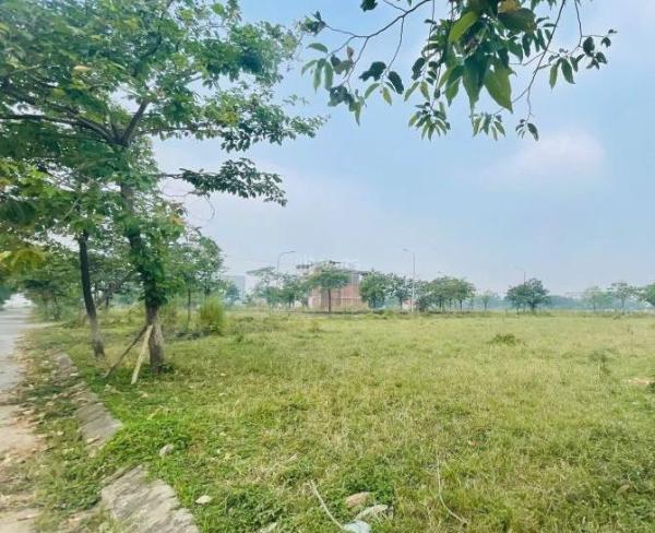 Bán Biệt thự nghỉ dưỡng 245m²