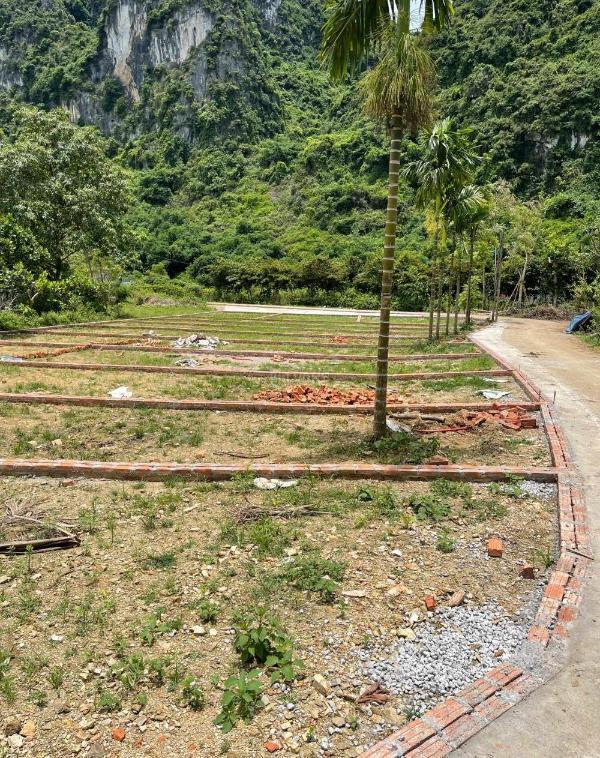 Đầu tư đất nền 🏤 thanh sơn lương sơn giá f0 chỉ 300triệu/lô