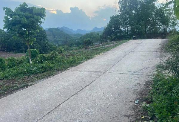 Trung 🔥 tâm ba hàng đồi lạc thủy hòa bình giá f0 chỉ 4,7 triệu/m² từ 4xx tri