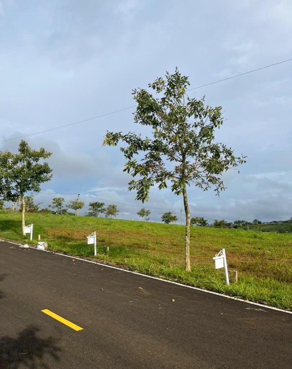 Bán Đất nền Dự án 150m²