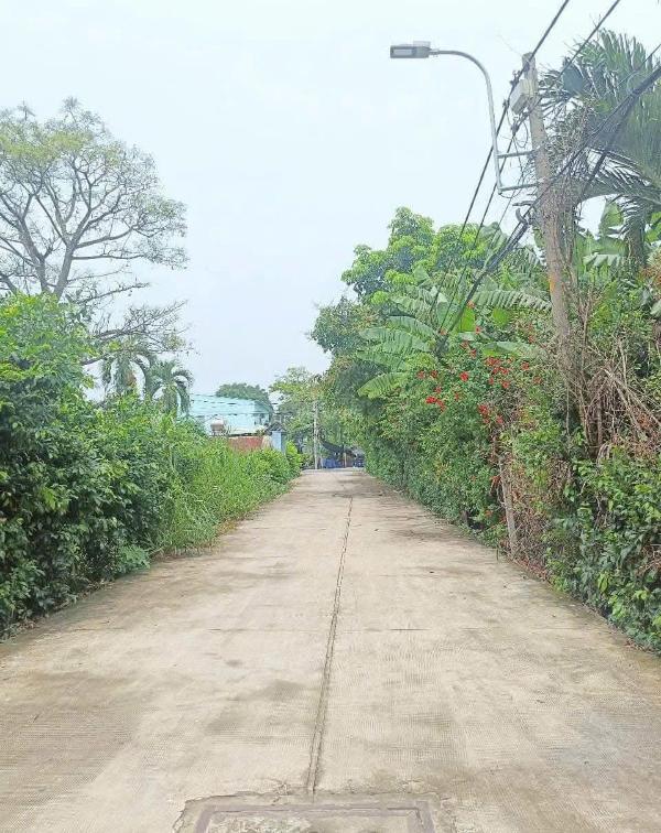 Bán Đất nền riêng lẻ 525m²