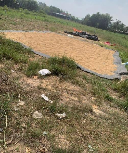 Bán Đất nền riêng lẻ 287m²