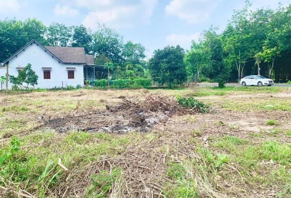 Cần bán Đất nền riêng lẻ 210m²