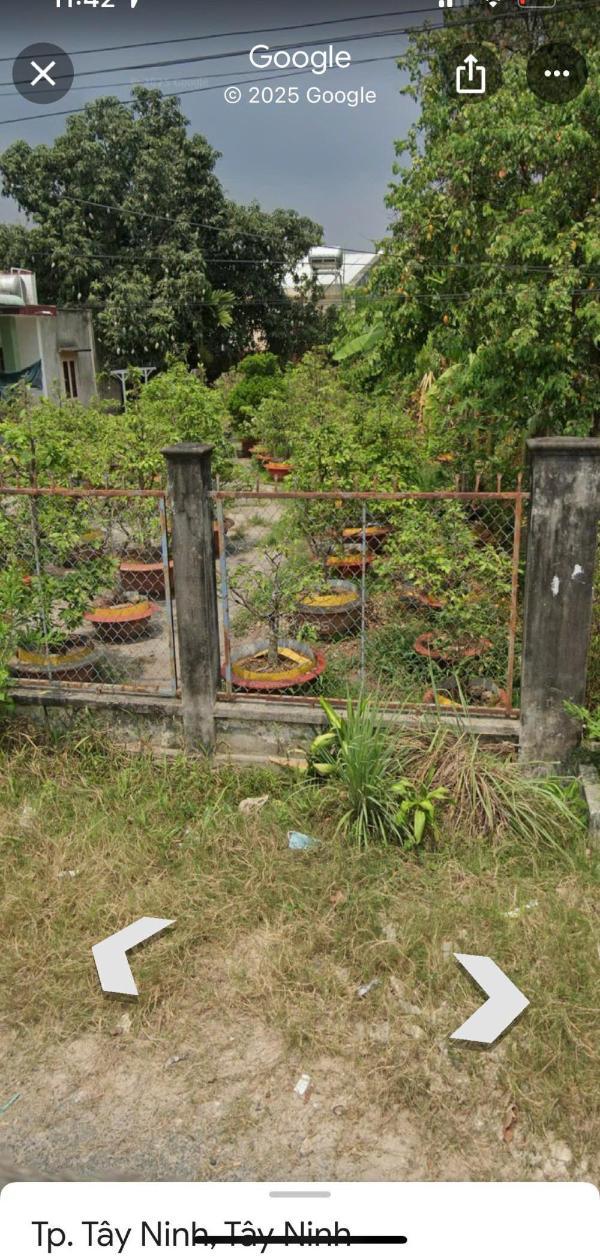 (bán gấp) khu bàn cờ ninh 🏘️ sơn.