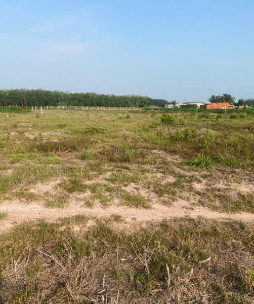 Cần bán 5300m2 đất hẻm DT784, Ninh Thạnh, Tp Tây ☘ Ninh