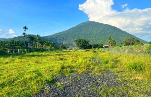 Cần bán Đất nền riêng lẻ 4158m²