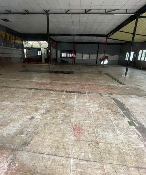 Chủ cho thuê Đất nền riêng lẻ 250m²