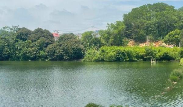 3 LÔ LIỀN KỀ – 🆘 3 MẶT TIỀN – VIEW HỒ CỰC ĐẸP