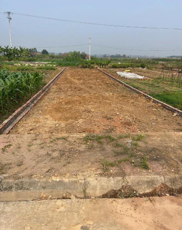 Cần bán Đất nền Dự án 125m²