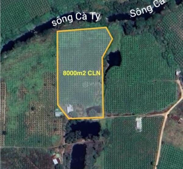 Bán Khác 8000m²