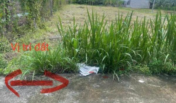 Cần bán Đất nền riêng lẻ 115m²