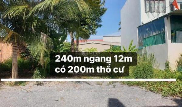 Chủ cần bán Đất nền riêng lẻ 240m²