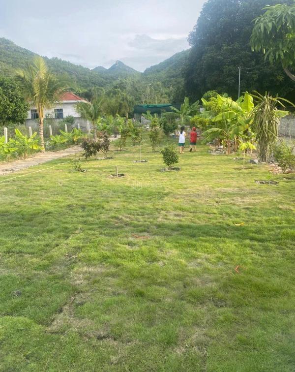 Cần bán Đất nền riêng lẻ 2000m²