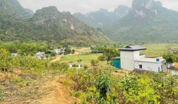 ĐỪNG BỎ LỠ CƠ 👍 HỘI ĐẦU TƯ CHỈ VỚI 500K/M2 SỞ HỮU NGAY 1.6HA ĐẤT TẠI KIM BÔI