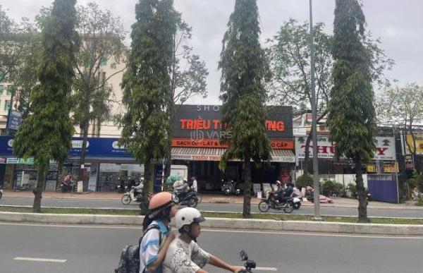 Cần bán Nhà mặt phố 171m²