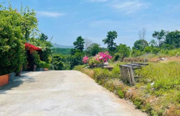 Chủ cần bán Đất nền riêng lẻ 684m²