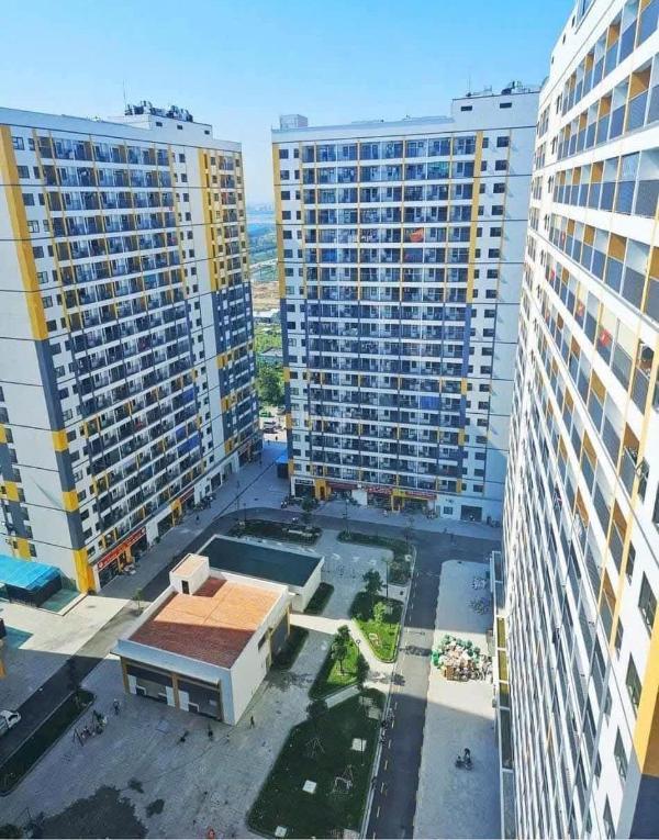 Quỹ căn thương mại evergreen bắc giang chính chủ cho thuê 👍 6-12tr/tháng