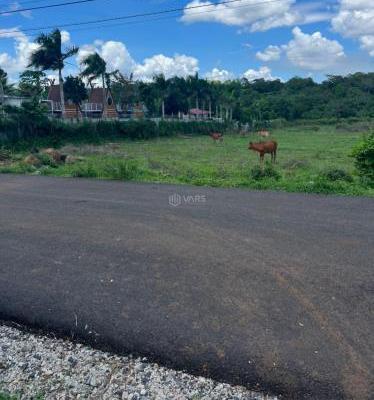 Chính Chủ Bán Đất 12.739m2 Thị Trấn Ngãi Giao, Xã Bàu Chinh, Huyện 👍 Châu Đức