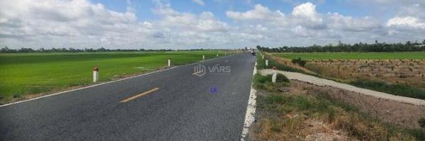 🔰Bán đất lúa 2 mặt tiền: 🏘️ ĐT 856, xã Phương Thịnh cũ, Đồng Tháp