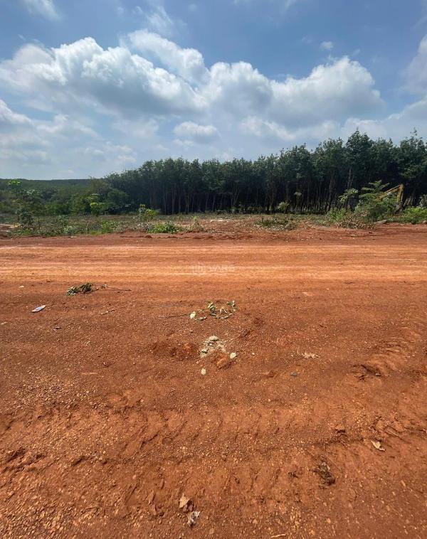 Bán Đất nền riêng lẻ 1000m²