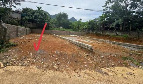 Cần bán Đất nền riêng lẻ 102m²