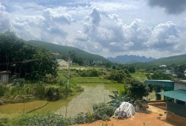 Bán Đất nền riêng lẻ 3100m²