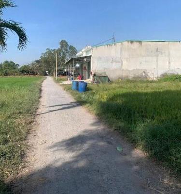 Dãy trọ 20 phòng 🏢 xã Đức Hòa Đông, Đức Hòa, Long An dt 500m2 giá 5,2 tỷ