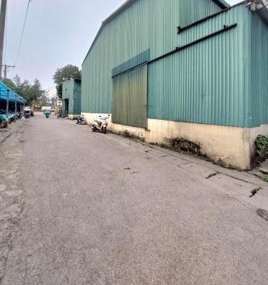 Cho thuê Nhà xưởng, nhà kho 565m²