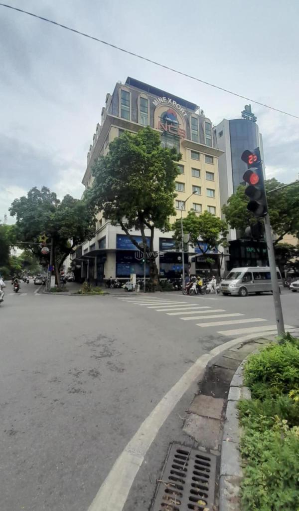 Cần bán Nhà mặt phố 868m²