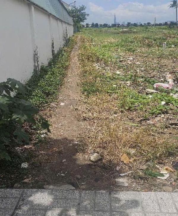Chủ cần bán Trang trại, nhà vườn 954m²