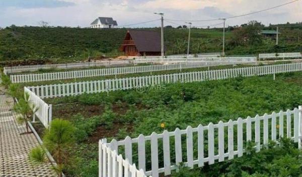 Cần bán Đất nền riêng lẻ 223m²