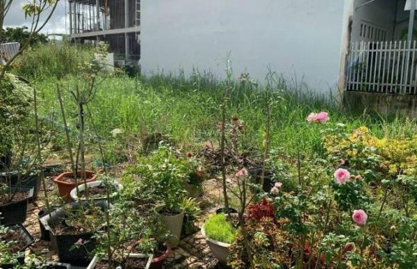 Chủ cần bán Đất nền Dự án 71m²