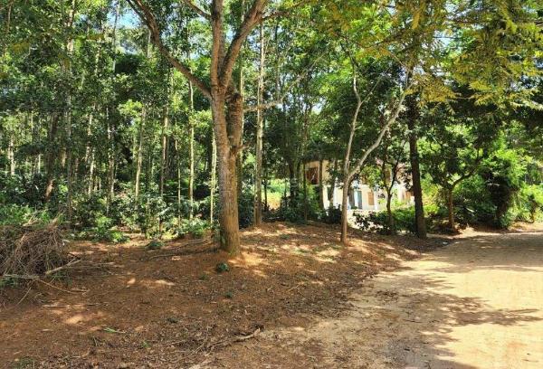 Gấp chính chủ bán gấp mảnh đất view hồ 🆘 tuyệt đẹp, 1000m cực phẩm lạc sơn hòa bìn