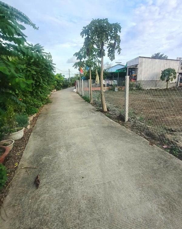 Chủ cần bán Đất nền riêng lẻ 1899m²