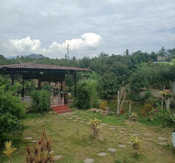 Bán đất tại quốc 🏠 lộ 55, lâm đồng, 250m2