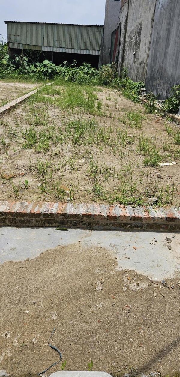 🏡 🏡 chính chủ bán 116m2 tại tt quang minh đường rộng, ô tô 🏬 🚘 đậu