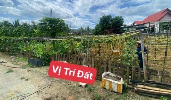 ĐẤT DIÊN TOÀN GẦN BẾN XE PHÍA NAM, 68M2, NGANG 5M, GIÁ CHỈ 1 TỶ 🆘 120