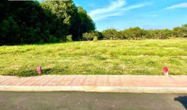 Đất Bàu Cạn Long Thành – Vị trí vàng, lợi 🔥 nhuận bạc tỷ!