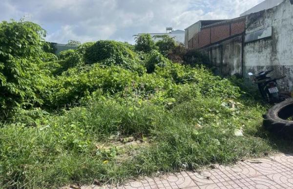 Bán Đất nền riêng lẻ 302m²