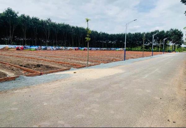 Chủ cần bán Đất nền Dự án 250m²