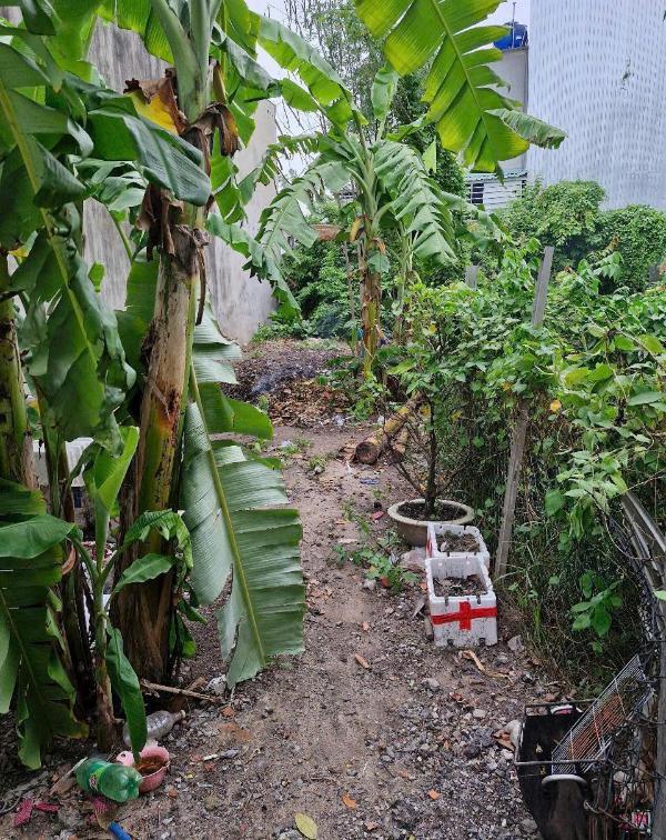 68m2 nguyễn 🏠 thị sáu thới tam thôn vị trí đẹp giá mềm