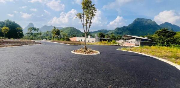Bán Đất nền Dự án 172m²