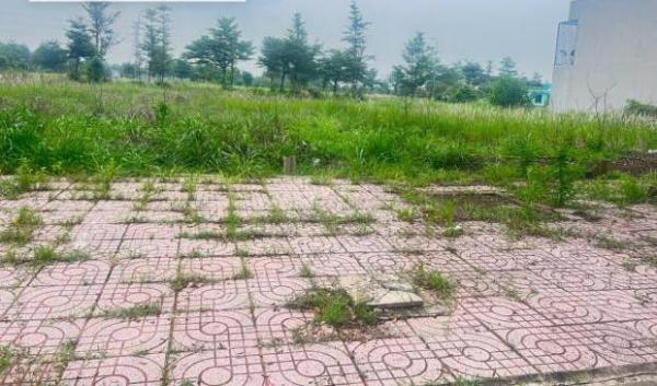 Bán lô đất sổ riêng 135m2, KTĐC Bình Minh, Trảng Bom, Đồng 🏢 Nai, 1.75