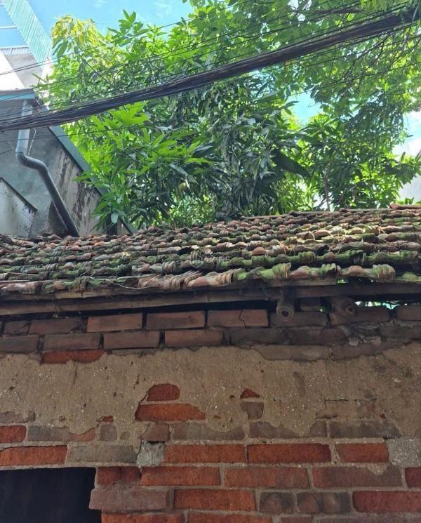 Bán Đất nền riêng lẻ 42m²