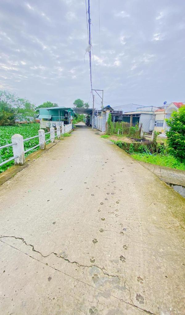 Bán 🏬 đất 1.500 m2 rạch đường gỗ cái răng có view sông