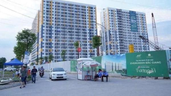 Nhà xã hội cc evergreen bắc giang căn 2pn 🏤 và 3pn