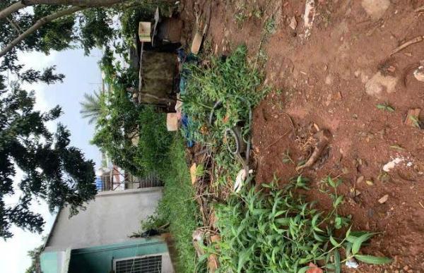 Cần bán Đất nền riêng lẻ 147m²