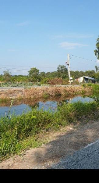 Bán lô 🏡 đất mặt tiền 586m Thổ cư Xã Tân Lập 1 Tân Phước Tiền Giang chỉ hơn 1tr m