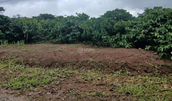 Cần bán Khác 3000m²